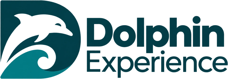 Dolphin Experience