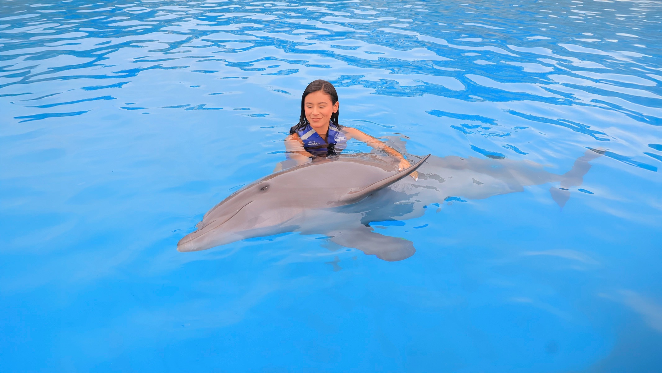 Guest petting a dolphin during a Cabo swim experience